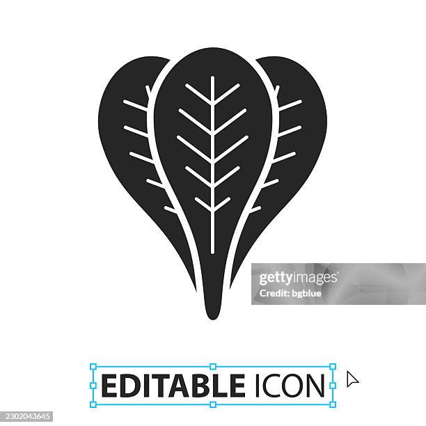 spinach - editable icon on white background - spinach isolated stock illustrations