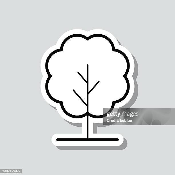 leafy tree. icon sticker on gray background - single tree stock illustrations