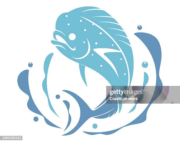 jumping mahi mahi dolphin fish graphics - fish jumping stock illustrations