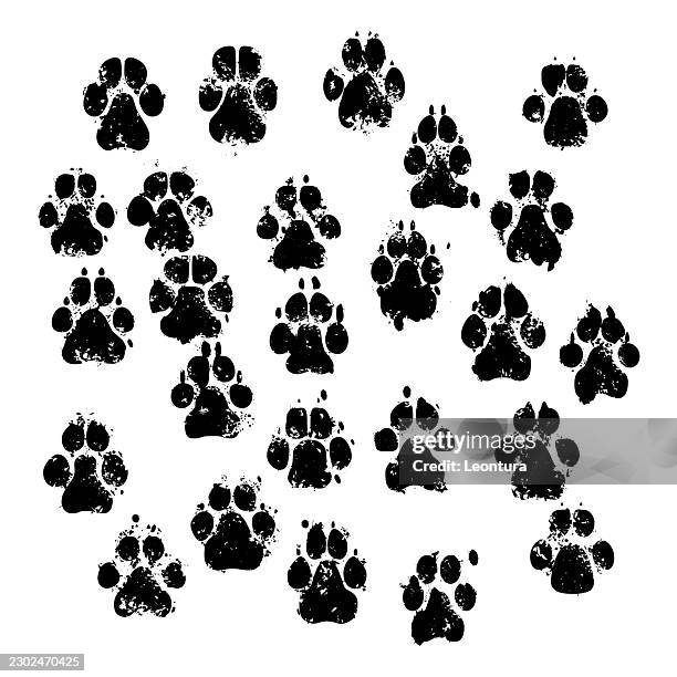 dog prints - path infographic stock illustrations