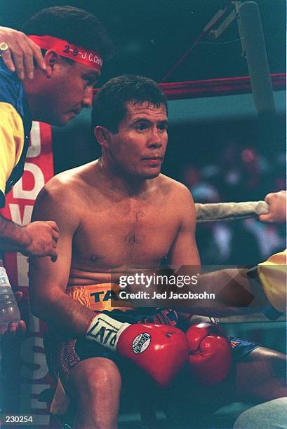 Professional boxer Julio Cesar Chavez relaxes in his corner while receiving instruction from his trainers between rounds during his bout against...