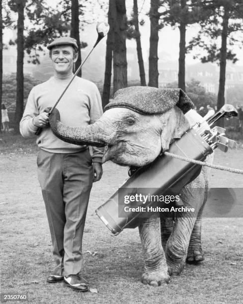 Comedian Dickie Henderson plays a round of golf at Selsdon Park, Surrey, with Mini the Indian elephant, his co-star in the upcoming TV series 'A...