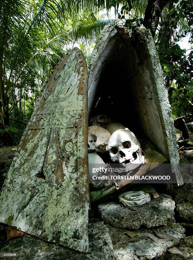 A ray of sunlight falls on the skull of 