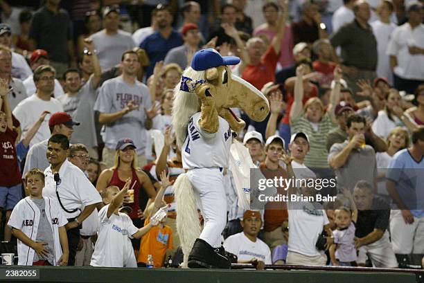 Texas Rangers 2003 Mlb Mascots 2003 Photos and Premium High Res Pictures - Getty Images