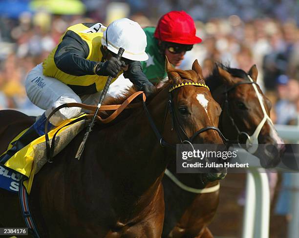 Douglas White of South Africa and Move It get the better of the Pat Eddery ridden Cocconut Penang to land The Dubai Duty Free Shergar Cup Sprint Race...