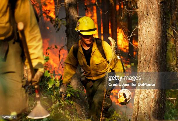 Daniel Hammond, a member of the Fulton hotshots from Bakersfield, California lights a back burn to help contain the Robert Fire August 11, 2003 in...