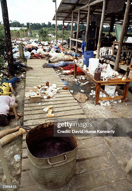 Bodies lie behind a tub of cyanide-laced punch November 18, 1978 in Jonestown, Guyana after over 900 members of the People's Temple Cult led by...