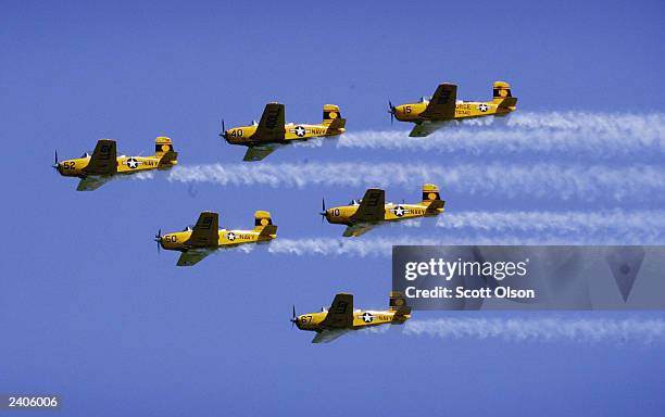 The Lima Lima flight team flies over the crowd gathered at the 45th annual Chicago Air and Water Show August 17, 2003 in Chicago, Illinois. The show...