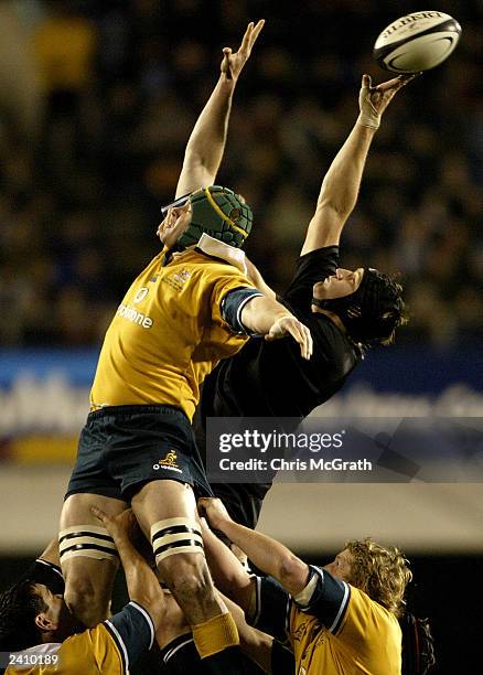 Ali Williams of the All Blacks wins a lineout over Daniel Vickerman of the Wallabies during the Tri Nations second Bledisloe Cup match between the...