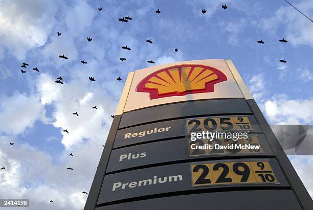 Murder of crows fly over a Shell station where gas prices of over two dollars a gallon are displayed August 20, 2003 in the Los Angeles community of...