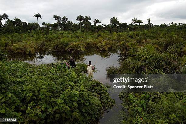 Boys fish August 22, 2003 in Po River, Liberia. After a month of heavy fighting, the Liberian government has signed an agreement with the two main...