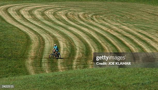 Tahl Tahl Photos and Premium High Res Pictures - Getty Images