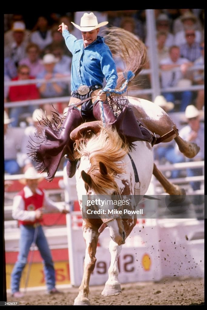 Bronco Riding Fall General view of the bronco riding during the Calgary Stampede in ...