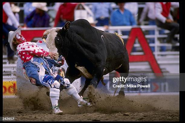 General view of a bull fighter getting hit during the Calgary Stampede in Calgary, Canada. Mandatory Credit: Mike Powell /Allsport