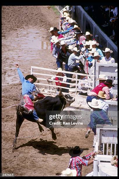 Cheyenne Frontier Days Rodeo 319 Cheyenne Frontier Day Rodeo Stock Photos, High-Res Pictures, and ...