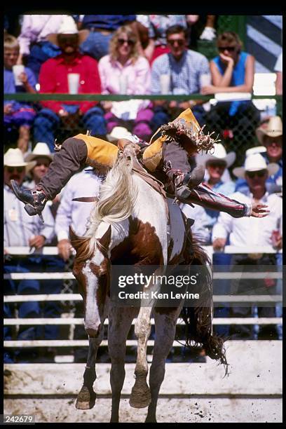 Cheyenne Frontier Days Rodeo The Cheyenne Frontier Days Rodeo Photos and Premium High Res Pictures ...