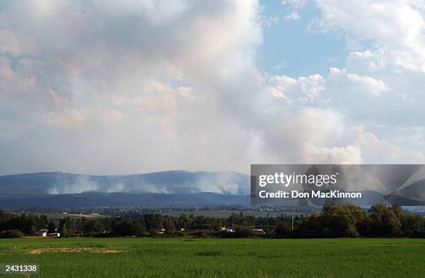 Wildfire burns in the Okanagan Mountain Park August 26, 2003 near Kelowna, British Columbia, Canada. The fire tore through the area late last week...