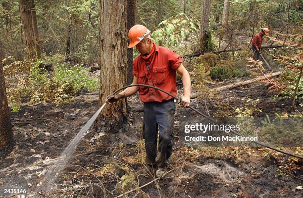 Firefighter Russ Joel mops up hotspots from a wildfire burning in the June Springs area August 27, 2003 southeast of Kelowna, British Columbia,...