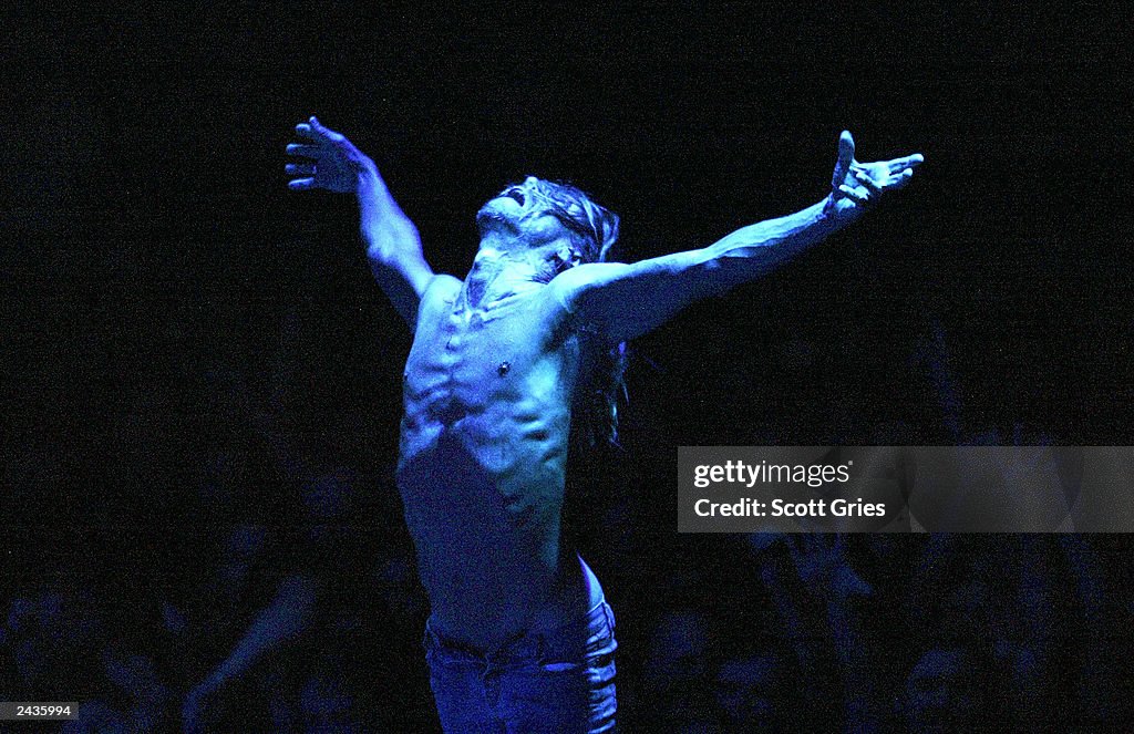 Iggy Pop And The Stooges