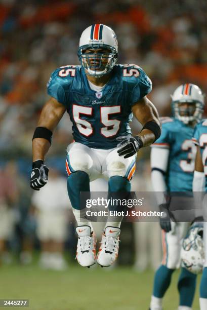 Linebacker Junior Seau of the Miami Dolphins gets pumped up between plays against the Atlanta Falcons during the NFL preseason game at Pro Player...