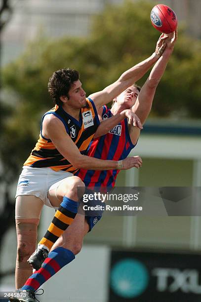 Ryan Ruck 251 Ryan Ruck Photos & High Res Pictures - Getty Images