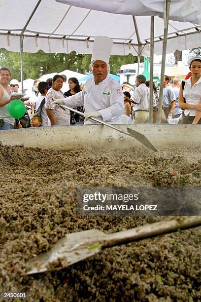 Group of fifteen Costa Rican cooks prepare the biggest "gallo pinto" in the world, 31 August 2003 at the Peace Park, in San Jose, Costa Rica, to...