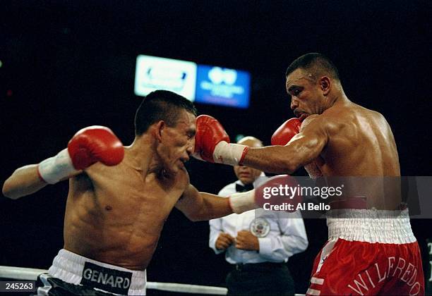 Genaro Rios 11 Genaro Rios Stock Photos, High-Res Pictures, and Images - Getty Images