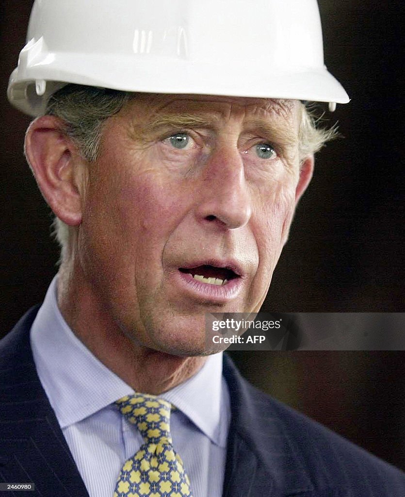The Prince of Wales during his visit to