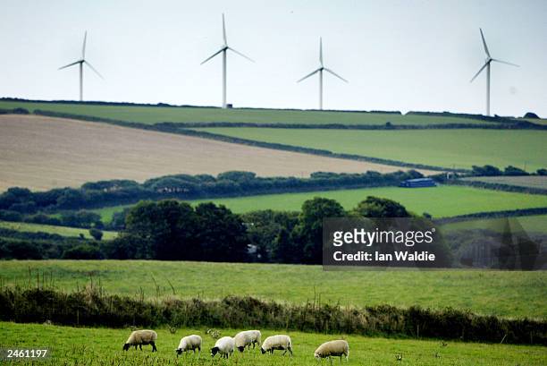 Wind farm turbines are seen at the Four Burrows site generate energy for consumers in Cornwall September 3, 2003 near Truro, Cornwall.