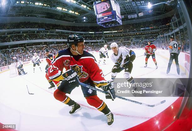 Johan Garpenlov of the Florida Panthers in action during the Panthers 3-2 loss to the Washington Capitals at the MCI Center in Washington, D.C....