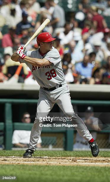 Infielder Robb Quinlan of the Anaheim Angels bats against the Detroit Tigers at Comerica Park on August 23, 2003 in Detroit, Michigan. The Angels...