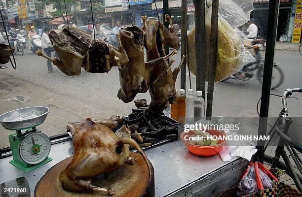 169 Vietnam Dog Meat Stock Photos High Res Pictures And Images 169 Vietnam Dog Meat Stock Photos High Res Pictures And Images