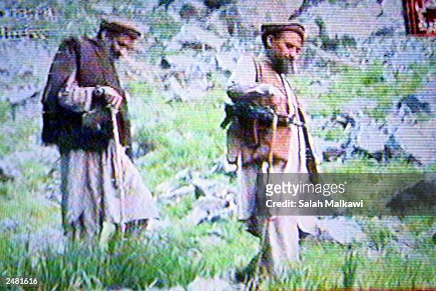 This is a still image taken from a video tape aired on Al-Jazeerah station September 10, 2003 that shows Al-Qaeda leaders Osama Bin Laden and Ayman...