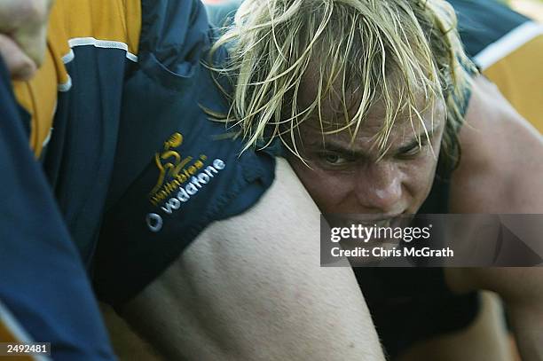 Phil Waugh runs through scrum drills during the Australian Wallabies training session held at Optus Oval September 25, 2003 in Darwin, Australia.