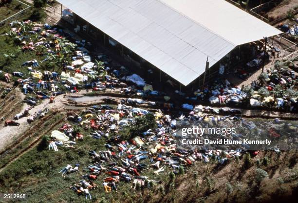 Dead bodies lie around the compound of the People's Temple cult November 18, 1978 after the over 900 members of the cult, led by Reverend Jim Jones,...