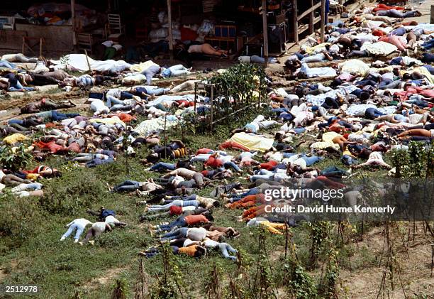 Dead bodies lie around the compound of the People's Temple cult November 18, 1978 after the over 900 members of the cult, led by Reverend Jim Jones,...