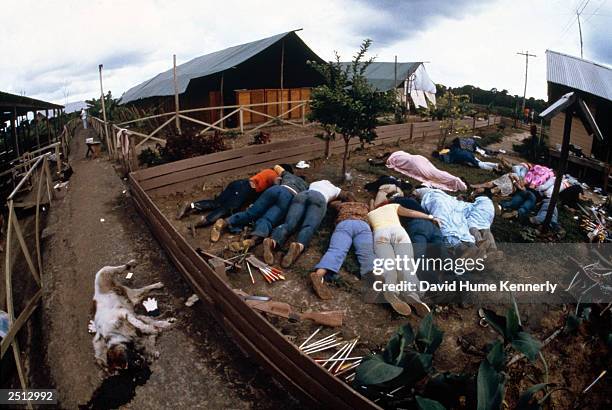 Dead bodies lie near the compound of the People's Temple cult November 18, 1978 in Jonestown, Guyana after over 900 members of the cult, led by...