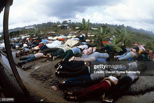 Dead bodies lie near the compound of the People's Temple cult November 18, 1978 in Jonestown, Guyana after over 900 members of the cult, led by...