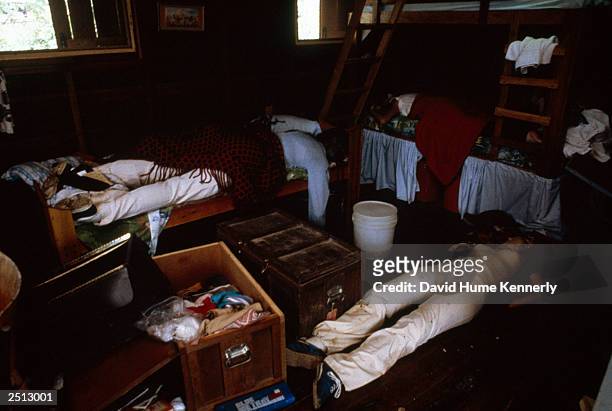 Bodies lie in a bedroom at the compound of the People's Temple cult November 18, 1978 in Jonestown, Guyana after over 900 members of the cult, led by...
