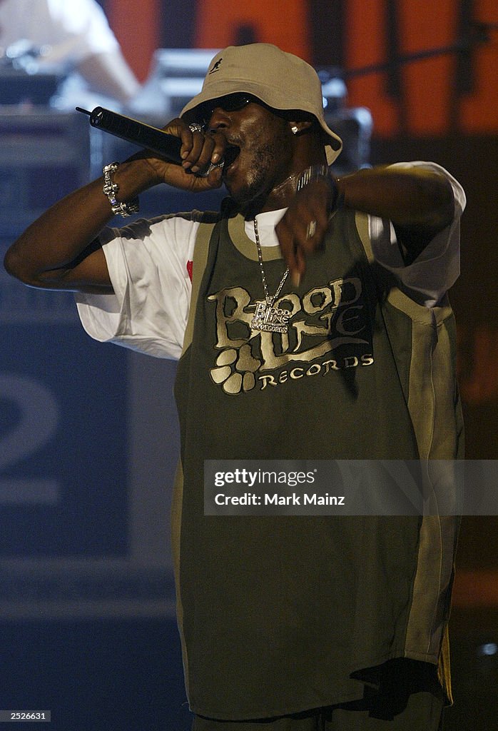 Dmx Rapper Tavi Rapper DMX performs for