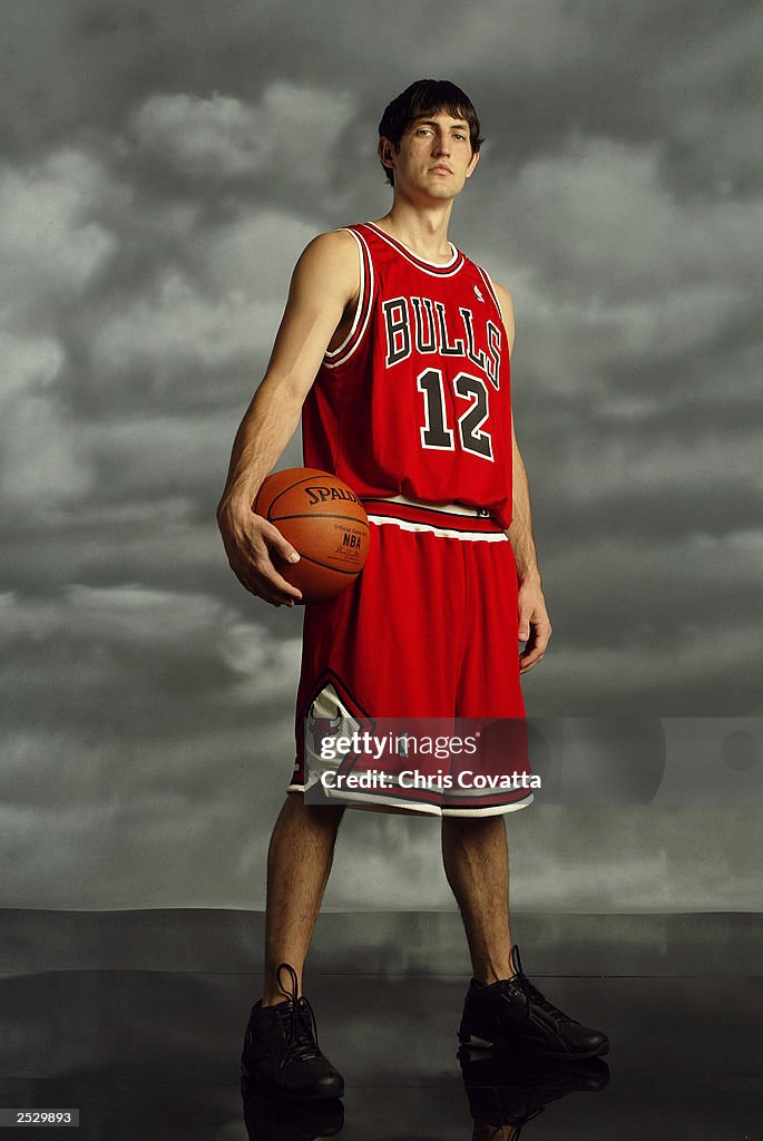 Hinrich NBA Rookie shoot