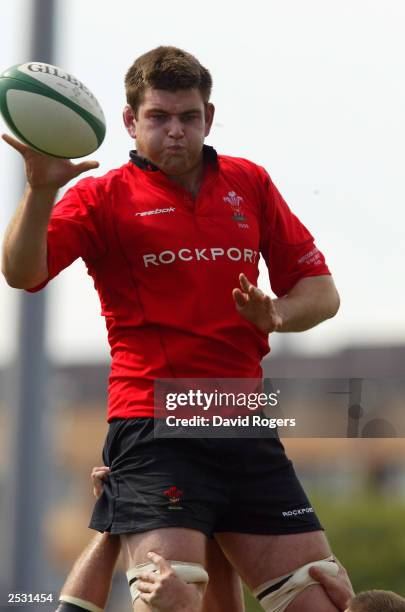 Michael Rein Rugby 27,045 Rugby Center Stock Photos, High-Res Pictures, and Images - Getty ...