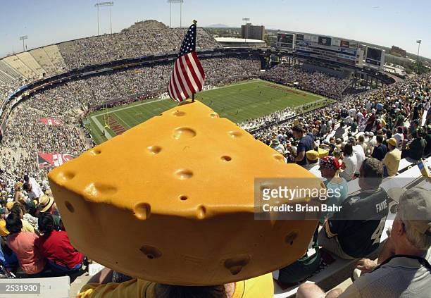 Green Bay Packers fan Linda Reinhardt wears her cheesehead in temperatures over 100 degrees at the start of a game against the Arizona Cardinals on...