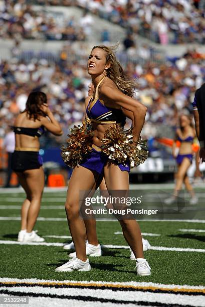 The Baltimore Ravens cheerleaders perform there routine as the Baltimore Ravens take on the Cleveland Browns on September 14, 2003 at the M&T Bank...