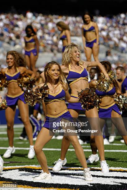 The Baltimore Ravens cheerleaders perform there routine as the Baltimore Ravens take on the Cleveland Browns on September 14, 2003 at the M&T Bank...