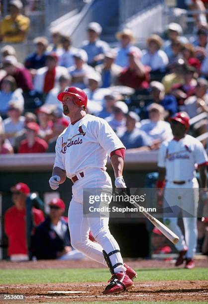 Mark McGwire of the St. Louis Cardinals hits a homerun during their 13-5 win over the Los Angeles Dodgers during Spring Training at the Roger Dean...