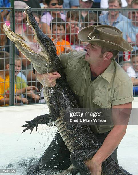 88 Alligator Wrestling Photos and Premium High Res Pictures - Getty Images