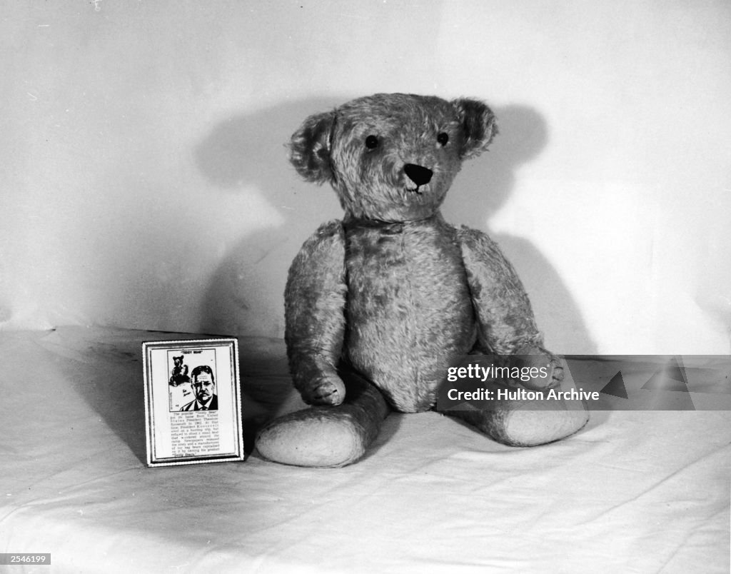 Teddy Bear With Teddy Roosevelt Tag