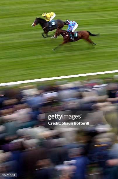 12 Ragdale Stock Photos, High-Res Pictures, and Images - Getty Images