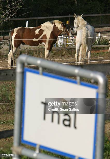 Two horses stand near a sign October 9, 2003 on the city limits of the village of Thal, Austria, where newly-elected California Governor Arnold...